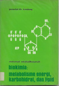 Image of Biokimia : Metabolisme Energi, Karbohidrat, dan Lipid